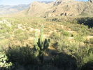 photo thumbnail #8