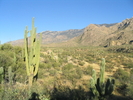 photo thumbnail #9