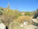 photo thumbnail #10