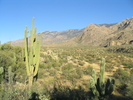 photo thumbnail #12