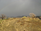 recent photo