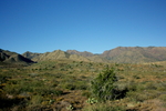 photo thumbnail #1