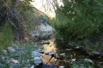 photo thumbnail #12