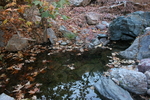 photo thumbnail #13
