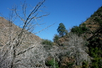 photo thumbnail #15