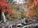 photo thumbnail #3