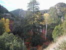 photo thumbnail #10