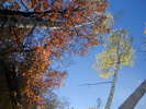 photo thumbnail #15