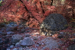 photo thumbnail #1
