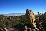 photo thumbnail #7