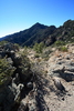 photo thumbnail #8
