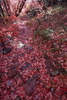 photo thumbnail #15