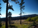 photo thumbnail #9