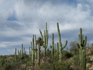photo thumbnail #3