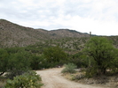photo thumbnail #8