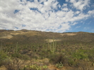 photo thumbnail #9