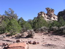 photo thumbnail #7