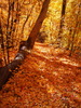 photo thumbnail #9