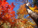 photo thumbnail #11