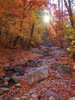 photo thumbnail #13
