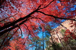 photo thumbnail #15