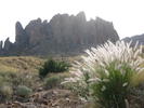 photo thumbnail #8