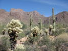 photo thumbnail #14