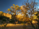 photo thumbnail #6