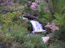 photo thumbnail #13