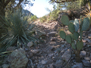 photo thumbnail #8