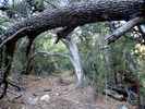 photo thumbnail #13