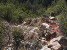 photo thumbnail #15