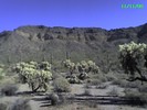 photo thumbnail #7