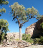 photo thumbnail #14