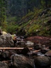 photo thumbnail #15