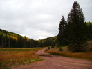 recent photo