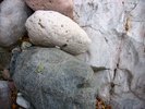 photo thumbnail #14