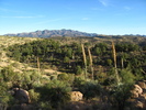 photo thumbnail #2