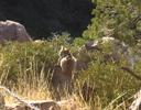photo thumbnail #9