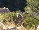 photo thumbnail #10