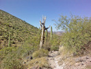 photo thumbnail #8