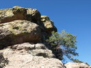 photo thumbnail #1