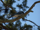 photo thumbnail #14