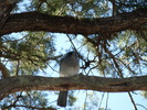 photo thumbnail #15