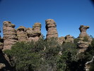 photo thumbnail #8