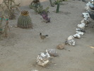 photo thumbnail #14