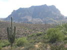 photo thumbnail #7