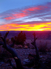 photo thumbnail #12