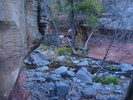 photo thumbnail #1