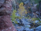 photo thumbnail #2